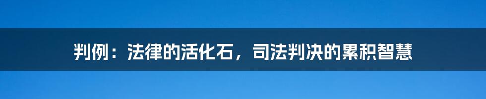 判例：法律的活化石，司法判决的累积智慧