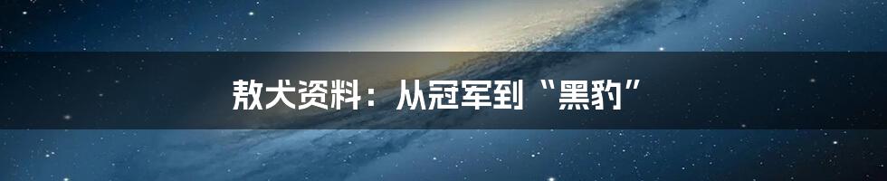 敖犬资料：从冠军到“黑豹”