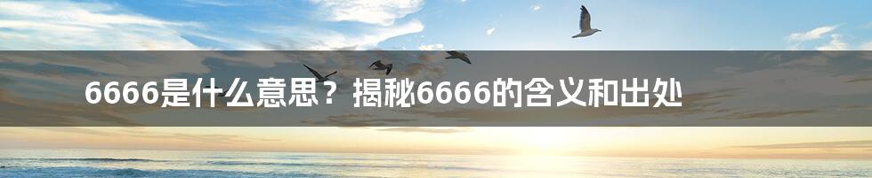 6666是什么意思？揭秘6666的含义和出处