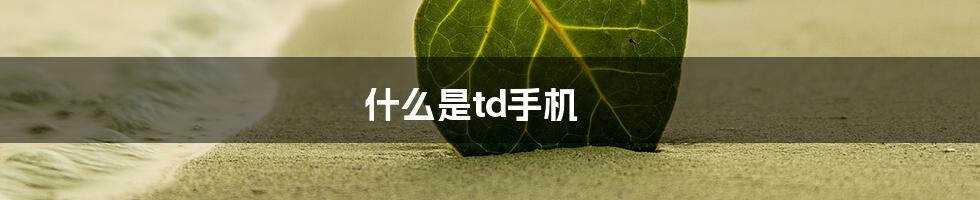 什么是td手机