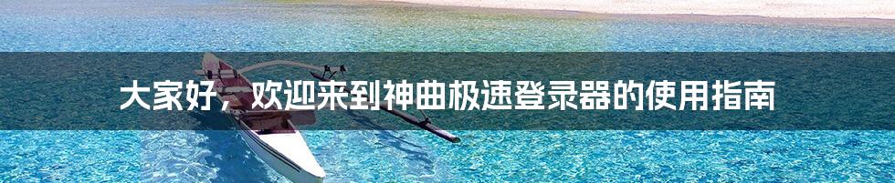 大家好，欢迎来到神曲极速登录器的使用指南