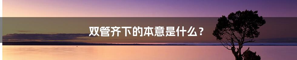 双管齐下的本意是什么？