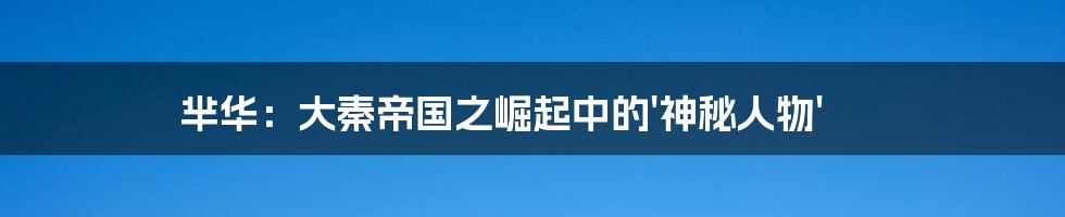 芈华：大秦帝国之崛起中的'神秘人物'