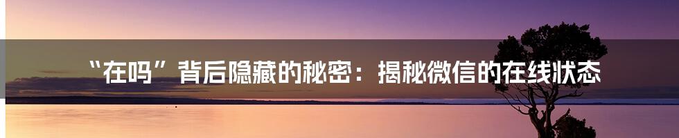 “在吗”背后隐藏的秘密：揭秘微信的在线状态