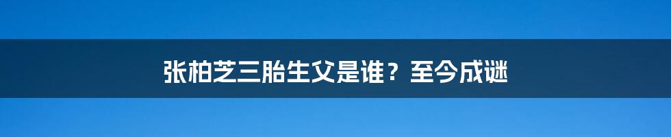 张柏芝三胎生父是谁？至今成谜