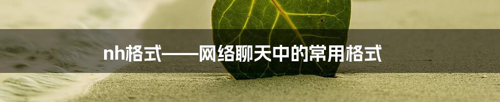 nh格式——网络聊天中的常用格式