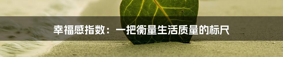 幸福感指数：一把衡量生活质量的标尺