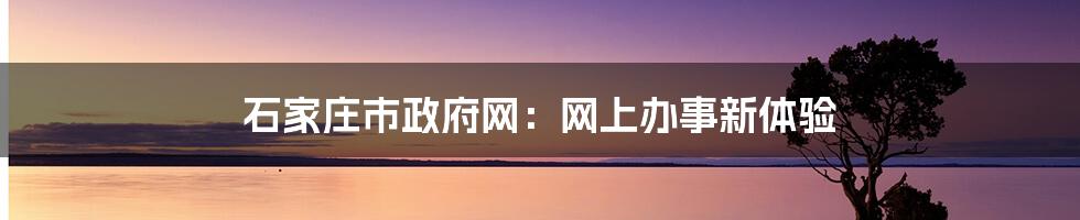 石家庄市政府网：网上办事新体验