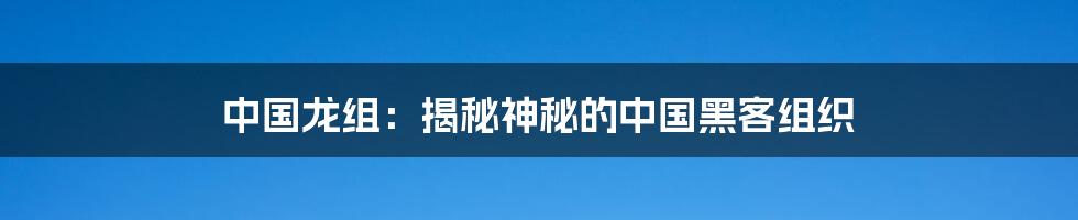 中国龙组：揭秘神秘的中国黑客组织