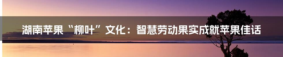 湖南苹果“柳叶”文化：智慧劳动果实成就苹果佳话