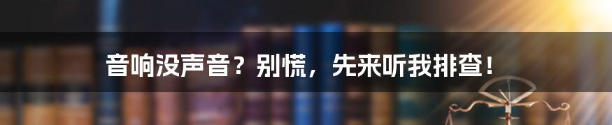 音响没声音？别慌，先来听我排查！