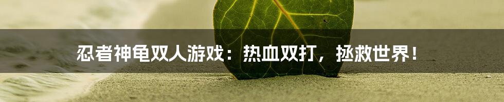 忍者神龟双人游戏：热血双打，拯救世界！