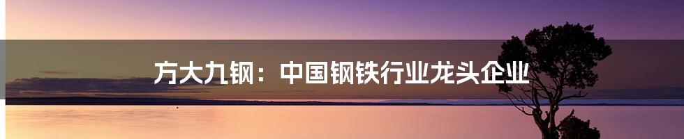 方大九钢：中国钢铁行业龙头企业