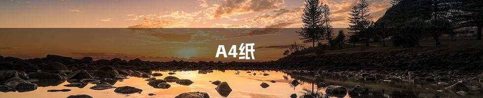 A4纸