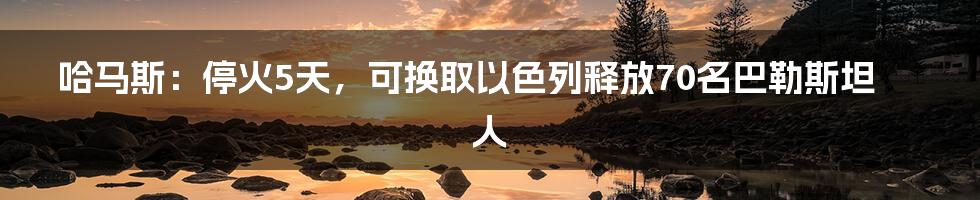 哈马斯：停火5天，可换取以色列释放70名巴勒斯坦人