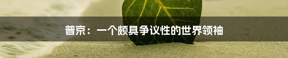 普京：一个颇具争议性的世界领袖