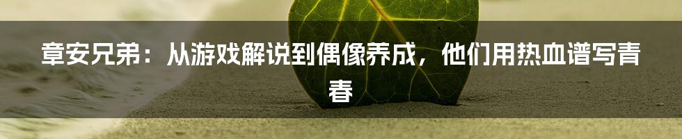 章安兄弟：从游戏解说到偶像养成，他们用热血谱写青春