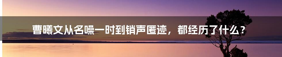 曹曦文从名噪一时到销声匿迹，都经历了什么？