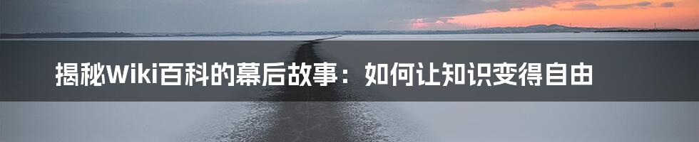 揭秘Wiki百科的幕后故事：如何让知识变得自由