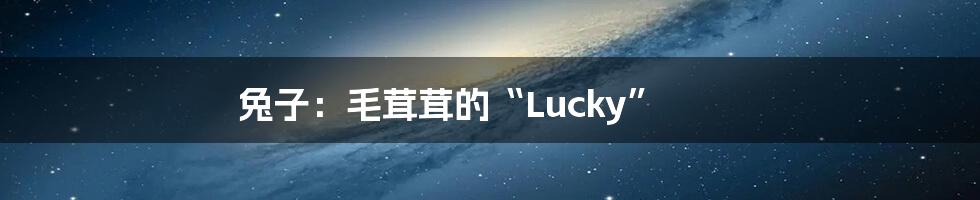 兔子：毛茸茸的“Lucky”