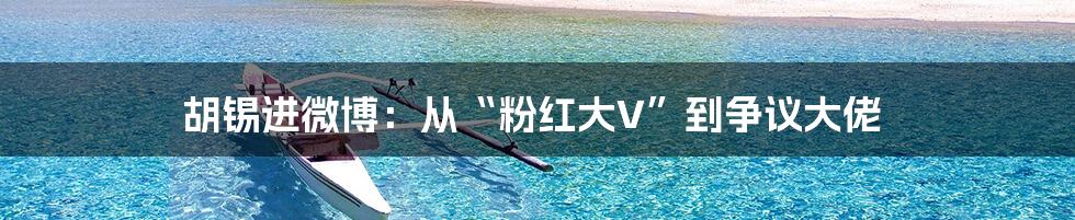 胡锡进微博：从“粉红大V”到争议大佬