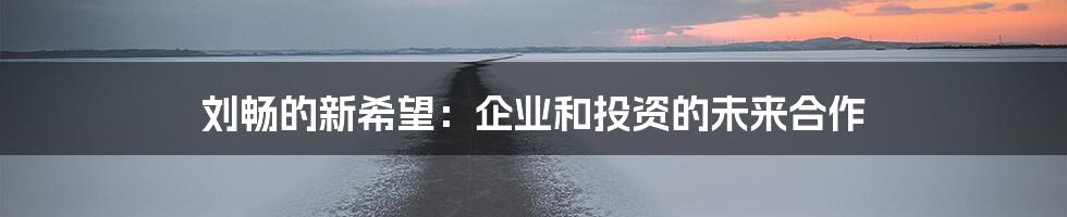 刘畅的新希望：企业和投资的未来合作