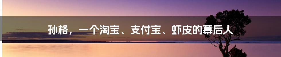 孙格，一个淘宝、支付宝、虾皮的幕后人