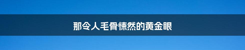 那令人毛骨悚然的黄金眼