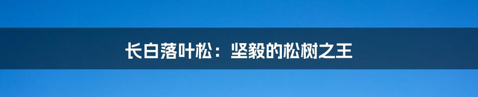 长白落叶松：坚毅的松树之王