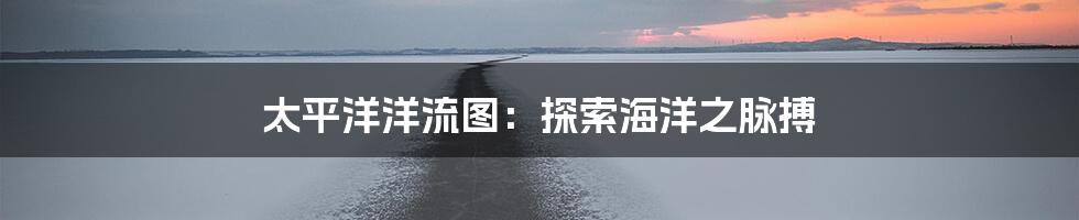 太平洋洋流图：探索海洋之脉搏