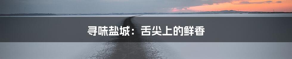 寻味盐城：舌尖上的鲜香