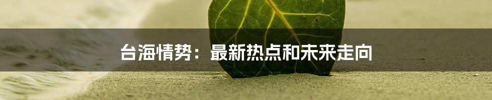 台海情势：最新热点和未来走向