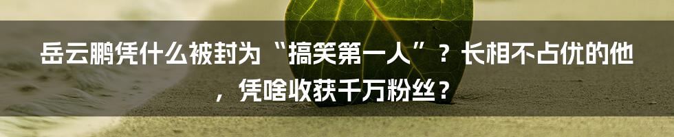 岳云鹏凭什么被封为“搞笑第一人”？长相不占优的他，凭啥收获千万粉丝？