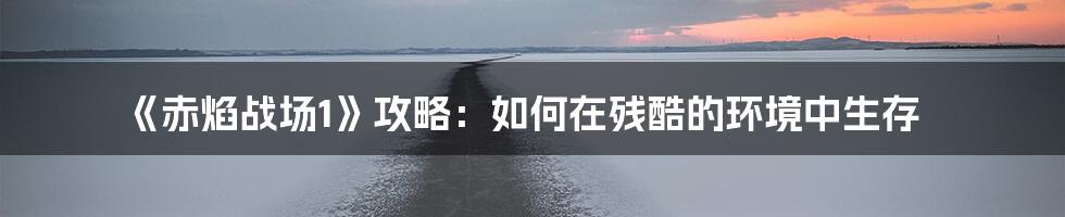 《赤焰战场1》攻略：如何在残酷的环境中生存