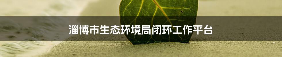 淄博市生态环境局闭环工作平台