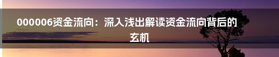 000006资金流向：深入浅出解读资金流向背后的玄机