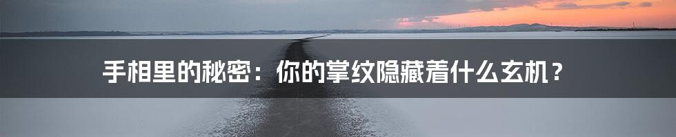 手相里的秘密：你的掌纹隐藏着什么玄机？