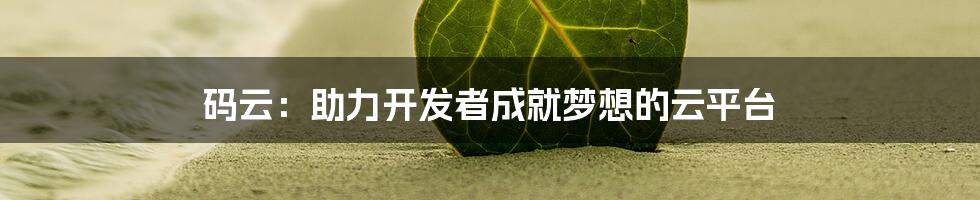 码云：助力开发者成就梦想的云平台