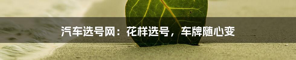 汽车选号网：花样选号，车牌随心变