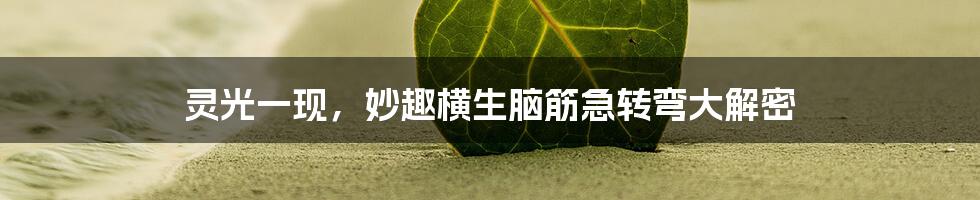 灵光一现，妙趣横生脑筋急转弯大解密