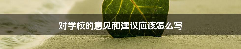 对学校的意见和建议应该怎么写