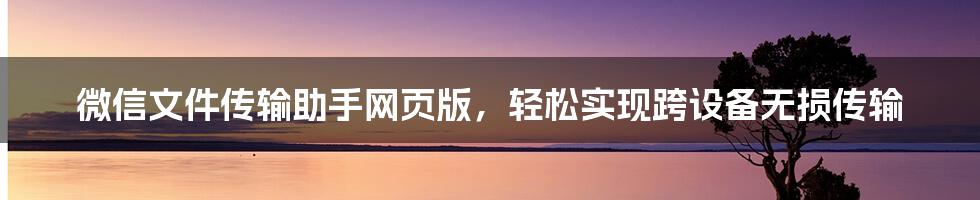 微信文件传输助手网页版，轻松实现跨设备无损传输