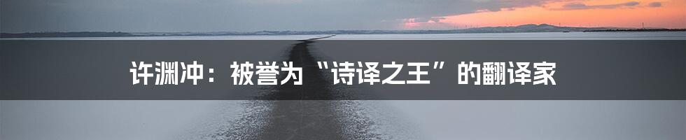 许渊冲：被誉为“诗译之王”的翻译家