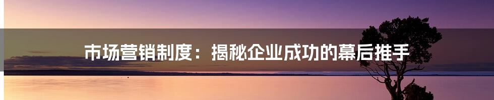 市场营销制度：揭秘企业成功的幕后推手