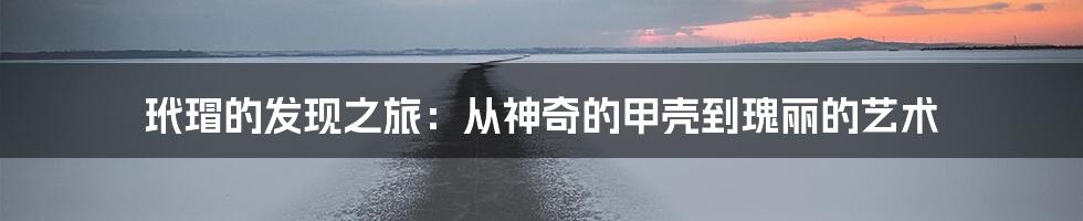 玳瑁的发现之旅：从神奇的甲壳到瑰丽的艺术