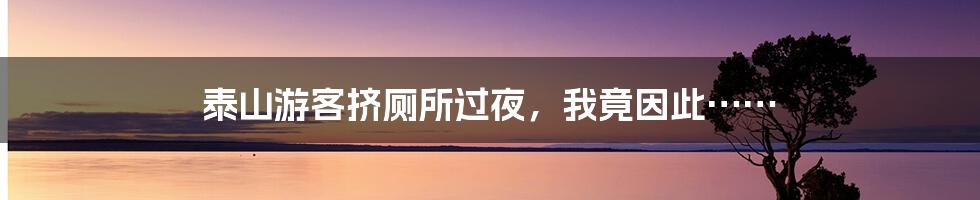 泰山游客挤厕所过夜，我竟因此……