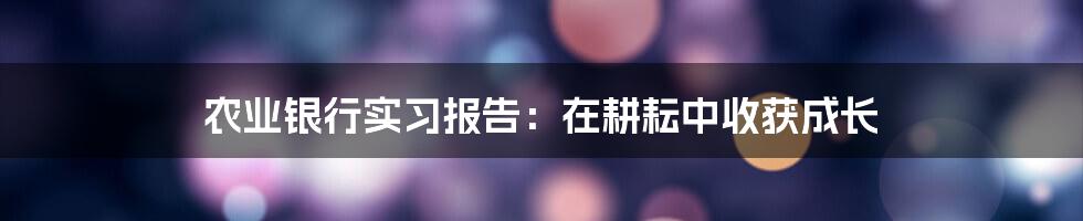 农业银行实习报告：在耕耘中收获成长