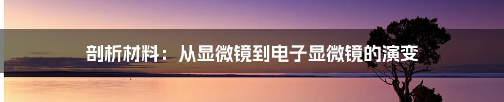 剖析材料：从显微镜到电子显微镜的演变