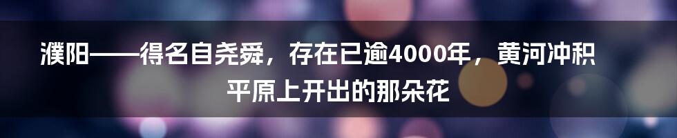 濮阳——得名自尧舜，存在已逾4000年，黄河冲积平原上开出的那朵花