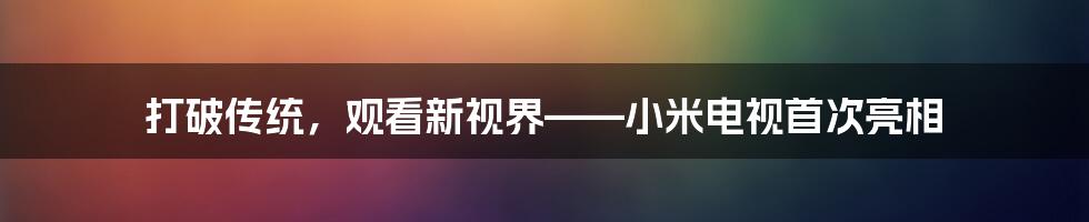 打破传统，观看新视界——小米电视首次亮相